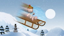 Bear on sled