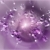 Flowers Violet Glowing & Flying HD Video Background 0509