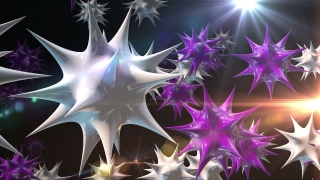 stock-video-video-background-hd1336-97860