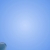 Blue and White Balloons Flying HD Video Background 1317