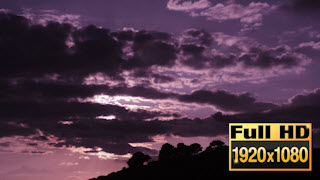 150422-20SunsetSilhouetTreesCloudsPurple