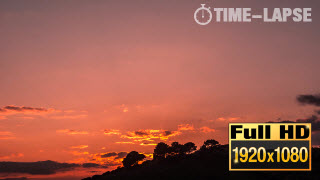 20060_callouts_SunsetTreeSilhoutteTimeLapse-thumb