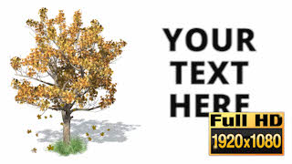 30123_callouts_treeseasons_thumb