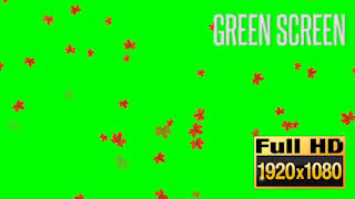 40052_callouts_fastfallleavegreen_thumb