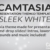 Camtasia Templates: White Presentation Theme