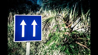 Road Sign Double Lane Arrows with Bushes