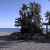 Mediterranean Beach Palms Pan 01 Video Footage
