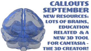 Callouts September – Education, Brains and 3D Creator for Camtasia