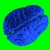 Animated Green Screen Blue Brain Top Spinning Loopable