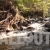 Stream in Mountain Forest, with Sound, Stock Footage