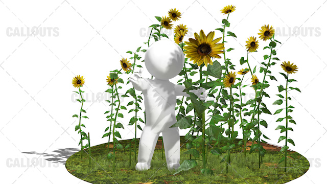 3D Guy Standing in Field of Sunflower Plants White Background