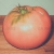 Huge Tomato on Table Vintage Style