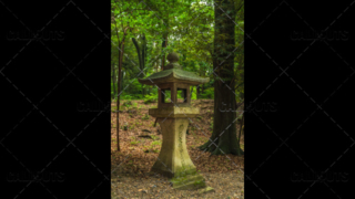 Fushimi Inari-taisha shrine, stone lantern, Tōrō, in forest. Kyoto, Japan.