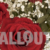 Bouquet of Red Roses and White Small Flowers with Water Drops. Slow Pan down.