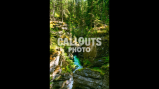 Flowing river in beautiful forest