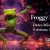 Froggy Loops – Dance Music Loop Collection
