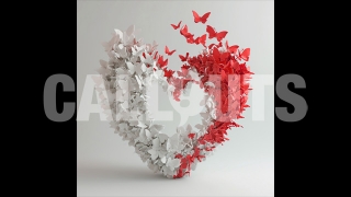 Valentines Day Concept Square Graphic Butterfly Heart