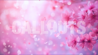 Valentines Day Concept Horizontal Pink Bloom