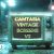 Camtasia Vintage Screens 2